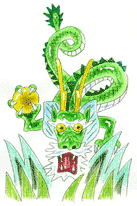 草龍